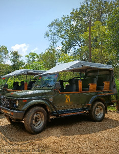 Jeep Safari