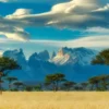 Green-Trees-under-white-clouds