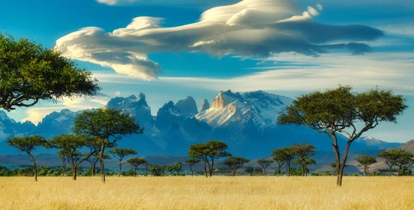 Green-Trees-under-white-clouds